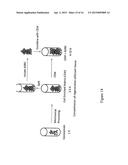 Apparatus for enhanced recovery of regenerative cells from tissue sample diagram and image