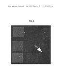 METHOD FOR GENERATING MICROSCOPIC PATTERNS OF PROTEIN AND OTHER     MACROMOLECULES diagram and image