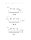 CELL CULTURING ARTICLE AND METHOD FOR MANUFACTURING THEREOF diagram and image