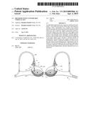 Brassiere with Customizable Vertical Lift diagram and image