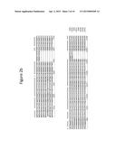 AUTONOMOUS REPLICATION SEQUENCES AND EPISOMAL DNA MOLECULES diagram and image