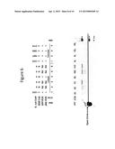 AUTONOMOUS REPLICATION SEQUENCES AND EPISOMAL DNA MOLECULES diagram and image