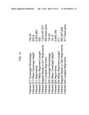 POLYMERASE COMPOSITIONS, METHODS OF MAKING AND USING SAME diagram and image