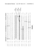 Oligonucleotides and Methods for Detecting KRAS and PIK3CA Mutations diagram and image