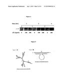 NUCLEOTIDES FOR PREVENTION AND TREATMENT OF BACTERIAL AND FUNGAL     PATHOLOGIES diagram and image