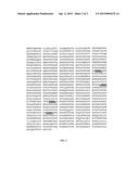 PEPTIDE FRAGMENTS FOR INDUCING SYNTHESIS OF EXTRACELLULAR MATRIX PROTEINS diagram and image