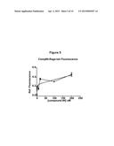 AMINO, AMIDO AND HETEROCYCLIC COMPOUNDS AS MODULATORS OF RAGE ACTIVITY AND     USES THEREOF diagram and image