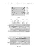 METHOD FOR TREATING CELL PROLIFERATIVE DISORDER BY INHIBITING C1GALT1     EXPRESSION diagram and image