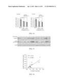 METHOD FOR TREATING CELL PROLIFERATIVE DISORDER BY INHIBITING C1GALT1     EXPRESSION diagram and image