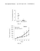 METHOD FOR TREATING CELL PROLIFERATIVE DISORDER BY INHIBITING C1GALT1     EXPRESSION diagram and image