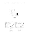 METHOD FOR TREATING CELL PROLIFERATIVE DISORDER BY INHIBITING C1GALT1     EXPRESSION diagram and image