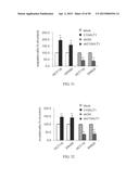 METHOD FOR TREATING CELL PROLIFERATIVE DISORDER BY INHIBITING C1GALT1     EXPRESSION diagram and image