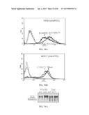 METHOD FOR TREATING CELL PROLIFERATIVE DISORDER BY INHIBITING C1GALT1     EXPRESSION diagram and image