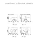 METHOD FOR TREATING CELL PROLIFERATIVE DISORDER BY INHIBITING C1GALT1     EXPRESSION diagram and image