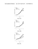 METHOD FOR TREATING CELL PROLIFERATIVE DISORDER BY INHIBITING C1GALT1     EXPRESSION diagram and image