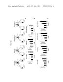 ANTI-CXCR1 COMPOSITIONS AND METHODS diagram and image