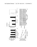 ANTI-CXCR1 COMPOSITIONS AND METHODS diagram and image