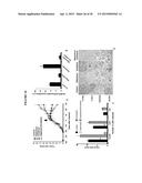 ANTI-CXCR1 COMPOSITIONS AND METHODS diagram and image