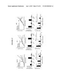 ANTI-CXCR1 COMPOSITIONS AND METHODS diagram and image