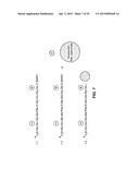 DETECTION OF DEGRADATIVE ENZYMES AND BIOMOLECULES IN BODILY FLUIDS diagram and image