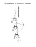 DETECTION OF DEGRADATIVE ENZYMES AND BIOMOLECULES IN BODILY FLUIDS diagram and image