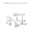 DETECTION OF DEGRADATIVE ENZYMES AND BIOMOLECULES IN BODILY FLUIDS diagram and image