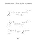 COMPOSITIONS CONTAINING, METHODS INVOLVING, AND USES OF NON-NATURAL AMINO     ACIDS AND POLYPEPTIDES diagram and image