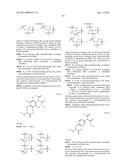 COMPOSITIONS CONTAINING, METHODS INVOLVING, AND USES OF NON-NATURAL AMINO     ACIDS AND POLYPEPTIDES diagram and image