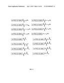 COMPOSITIONS CONTAINING, METHODS INVOLVING, AND USES OF NON-NATURAL AMINO     ACIDS AND POLYPEPTIDES diagram and image