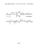 COMPOSITIONS CONTAINING, METHODS INVOLVING, AND USES OF NON-NATURAL AMINO     ACIDS AND POLYPEPTIDES diagram and image