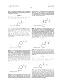 COMPOSITIONS CONTAINING, METHODS INVOLVING, AND USES OF NON-NATURAL AMINO     ACIDS AND POLYPEPTIDES diagram and image