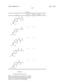 COMPOSITIONS CONTAINING, METHODS INVOLVING, AND USES OF NON-NATURAL AMINO     ACIDS AND POLYPEPTIDES diagram and image