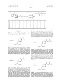 COMPOSITIONS CONTAINING, METHODS INVOLVING, AND USES OF NON-NATURAL AMINO     ACIDS AND POLYPEPTIDES diagram and image