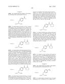 COMPOSITIONS CONTAINING, METHODS INVOLVING, AND USES OF NON-NATURAL AMINO     ACIDS AND POLYPEPTIDES diagram and image