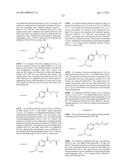 COMPOSITIONS CONTAINING, METHODS INVOLVING, AND USES OF NON-NATURAL AMINO     ACIDS AND POLYPEPTIDES diagram and image