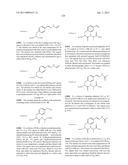 COMPOSITIONS CONTAINING, METHODS INVOLVING, AND USES OF NON-NATURAL AMINO     ACIDS AND POLYPEPTIDES diagram and image