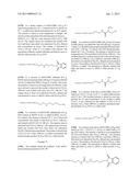 COMPOSITIONS CONTAINING, METHODS INVOLVING, AND USES OF NON-NATURAL AMINO     ACIDS AND POLYPEPTIDES diagram and image