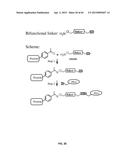 COMPOSITIONS CONTAINING, METHODS INVOLVING, AND USES OF NON-NATURAL AMINO     ACIDS AND POLYPEPTIDES diagram and image