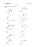 COMPOSITIONS CONTAINING, METHODS INVOLVING, AND USES OF NON-NATURAL AMINO     ACIDS AND POLYPEPTIDES diagram and image