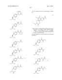 COMPOSITIONS CONTAINING, METHODS INVOLVING, AND USES OF NON-NATURAL AMINO     ACIDS AND POLYPEPTIDES diagram and image