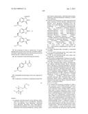 COMPOSITIONS CONTAINING, METHODS INVOLVING, AND USES OF NON-NATURAL AMINO     ACIDS AND POLYPEPTIDES diagram and image