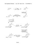 COMPOSITIONS CONTAINING, METHODS INVOLVING, AND USES OF NON-NATURAL AMINO     ACIDS AND POLYPEPTIDES diagram and image