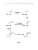 COMPOSITIONS CONTAINING, METHODS INVOLVING, AND USES OF NON-NATURAL AMINO     ACIDS AND POLYPEPTIDES diagram and image