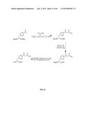 COMPOSITIONS CONTAINING, METHODS INVOLVING, AND USES OF NON-NATURAL AMINO     ACIDS AND POLYPEPTIDES diagram and image