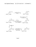 COMPOSITIONS CONTAINING, METHODS INVOLVING, AND USES OF NON-NATURAL AMINO     ACIDS AND POLYPEPTIDES diagram and image