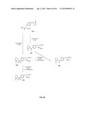 COMPOSITIONS CONTAINING, METHODS INVOLVING, AND USES OF NON-NATURAL AMINO     ACIDS AND POLYPEPTIDES diagram and image