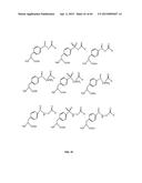 COMPOSITIONS CONTAINING, METHODS INVOLVING, AND USES OF NON-NATURAL AMINO     ACIDS AND POLYPEPTIDES diagram and image