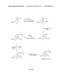 COMPOSITIONS CONTAINING, METHODS INVOLVING, AND USES OF NON-NATURAL AMINO     ACIDS AND POLYPEPTIDES diagram and image