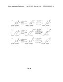 COMPOSITIONS CONTAINING, METHODS INVOLVING, AND USES OF NON-NATURAL AMINO     ACIDS AND POLYPEPTIDES diagram and image