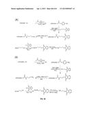 COMPOSITIONS CONTAINING, METHODS INVOLVING, AND USES OF NON-NATURAL AMINO     ACIDS AND POLYPEPTIDES diagram and image